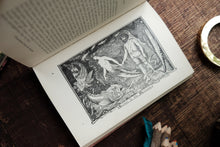 The Pink Fairy Book by Andrew Lang