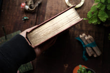 The Pink Fairy Book by Andrew Lang